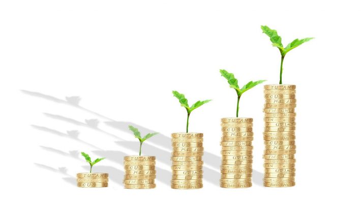 Budget For Growth