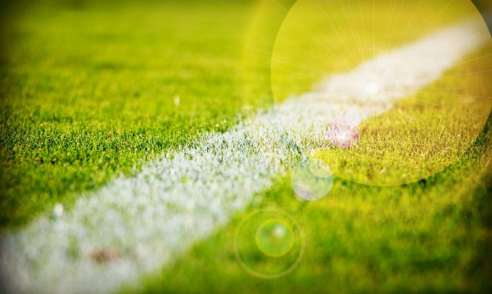 Grass 2