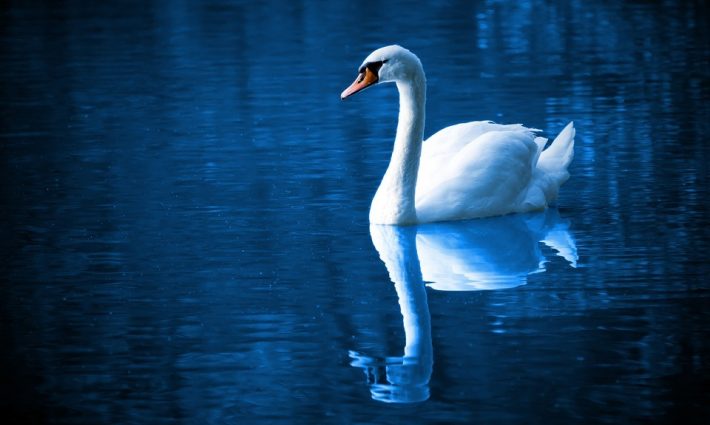 Reflection