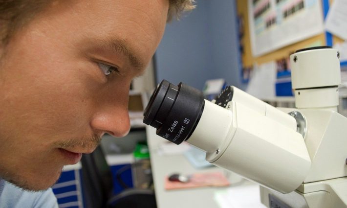 Microscope