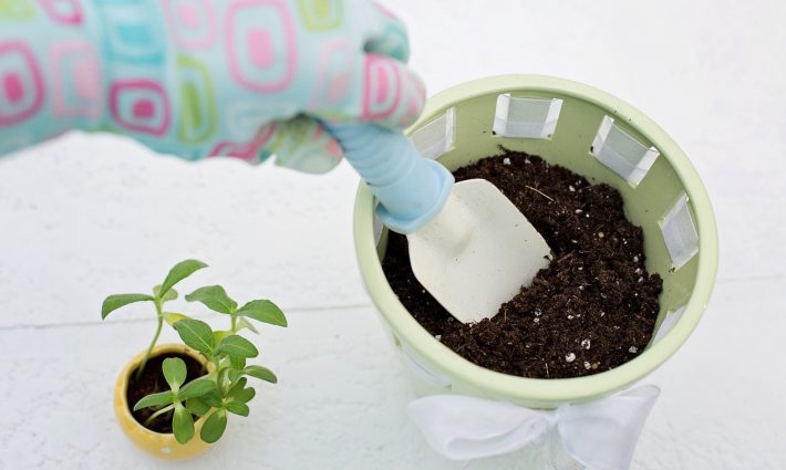 planting-783342 1920
