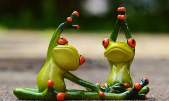 Frogs Sports 927760 1280