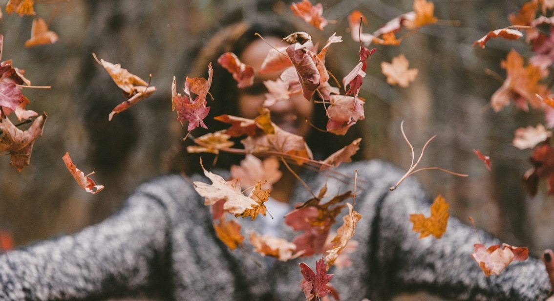 The Autumn Statement Rumour Mill