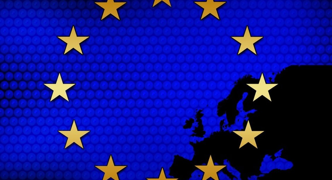 The EU Referendum