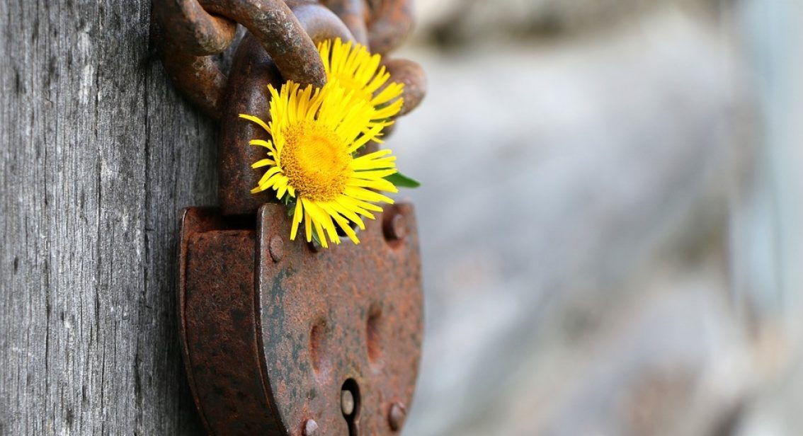 Preserving your Pension